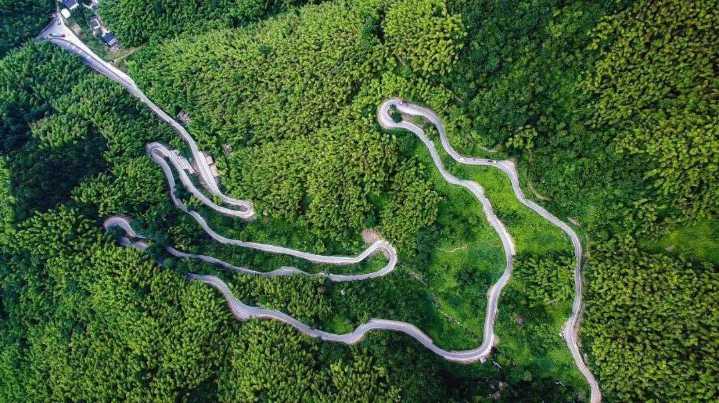 径山古道边,杭州植物园,云栖竹径,杭州临安西天目山盘山公路