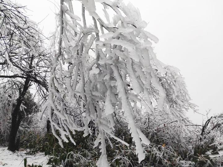 冷冷的冰雨在我脸上胡乱地拍!萧山戴村这波冻雨,简直就是mv重现啊