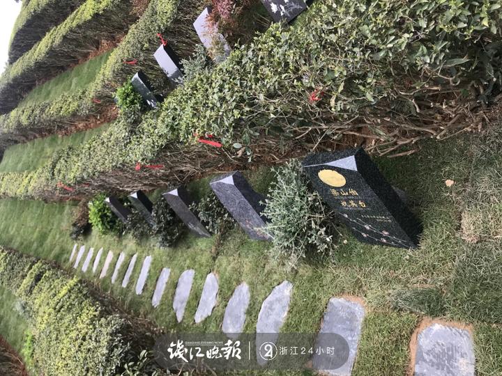 映入眼帘的是占地面积200亩的径山茶园,新芽已经从茶枝里冒出来.