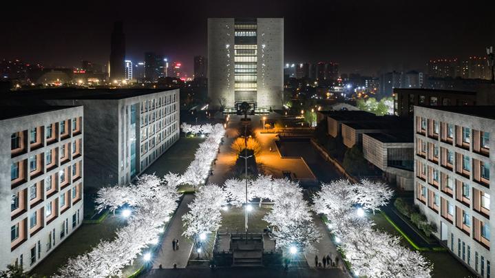 阳春三月樱花醉又发现一个网红赏花地就在嘉兴的同济大学浙江学院