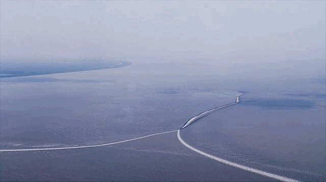 钱塘江大潮迎三年来最大涌潮!这份观潮指南请查收