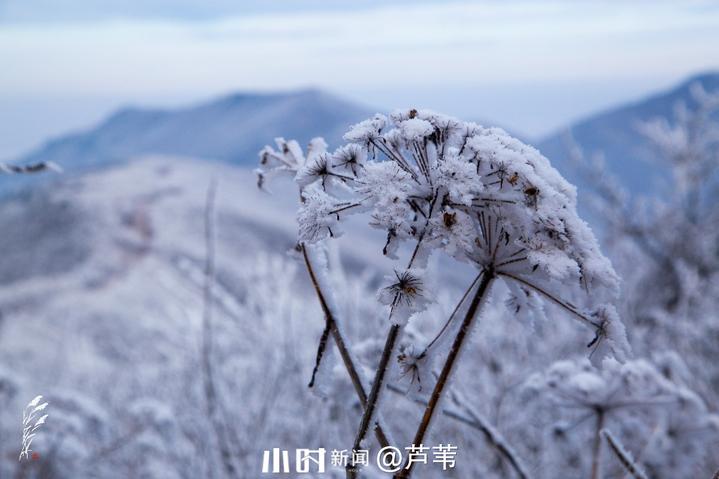 帮帮团分享你在北方的冬天里看雪景我在南方的冬天里看秋景