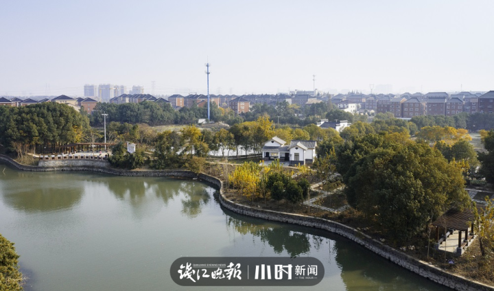 图说:双陈村2021年仁和街道生态环境,将向着更高质量发展周永明,吕