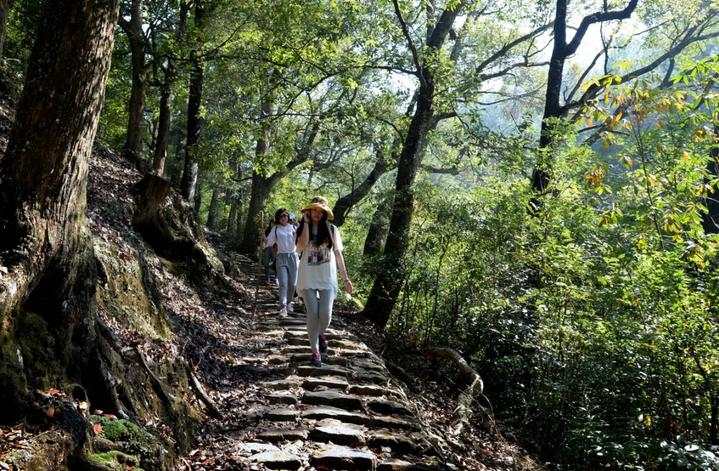 古道天关山古道是古时岭北与泰顺县城连接的交通要道,始建于唐朝