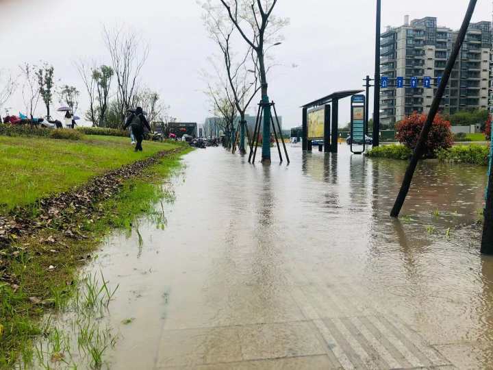 今天早的雨真大,杭州多地"看海"!你那里积水了吗?