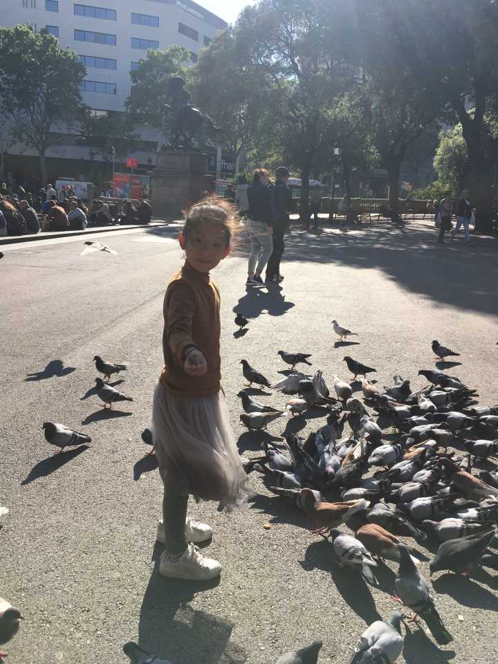 QQ图片20170626171510.jpg