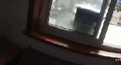 0.gif