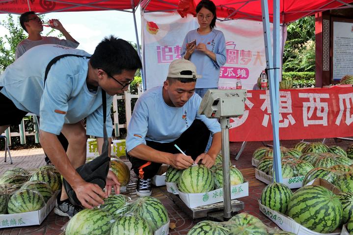 从一个到五个 永康"西瓜男孩"再推励志版"梦想西瓜摊"