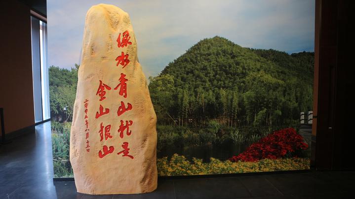 在安吉青山绿水间,看"两山"故事展