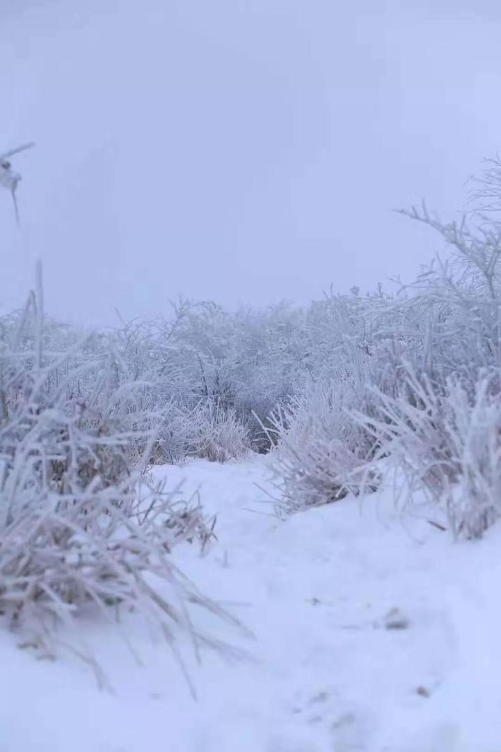 杭州下雪了!下周又是好天气!快来徒步吴越古道最精华