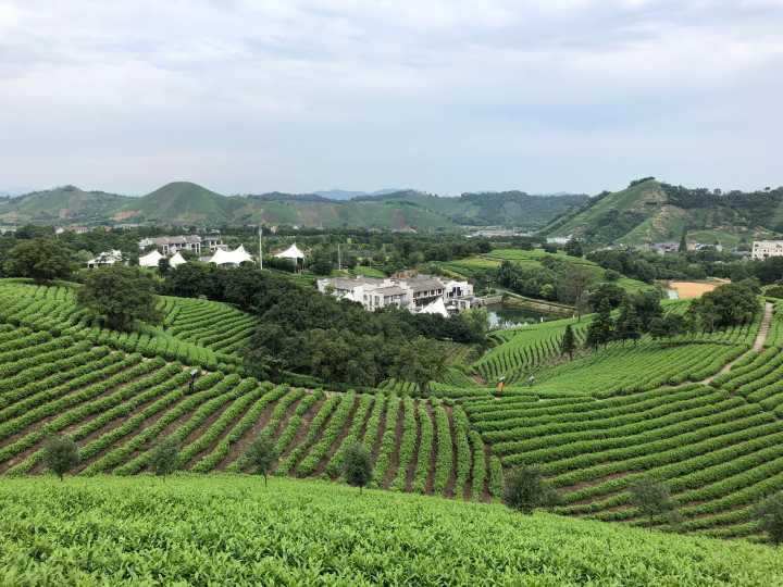 微信图片_20180628202125.jpg 微信图片_20180628202125.jpg