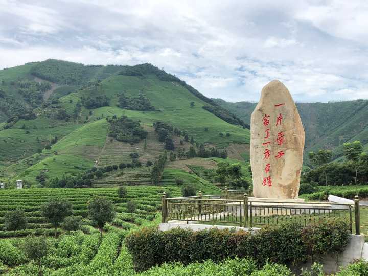 微信图片_20180628202327.jpg 微信图片_20180628202327.jpg