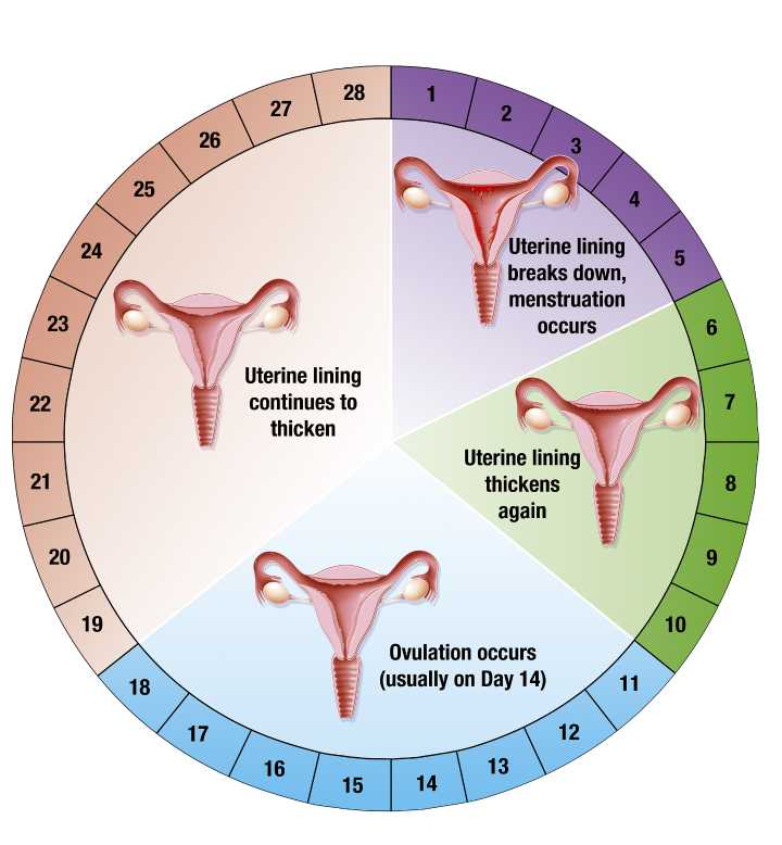 supernova女超人 图解图片