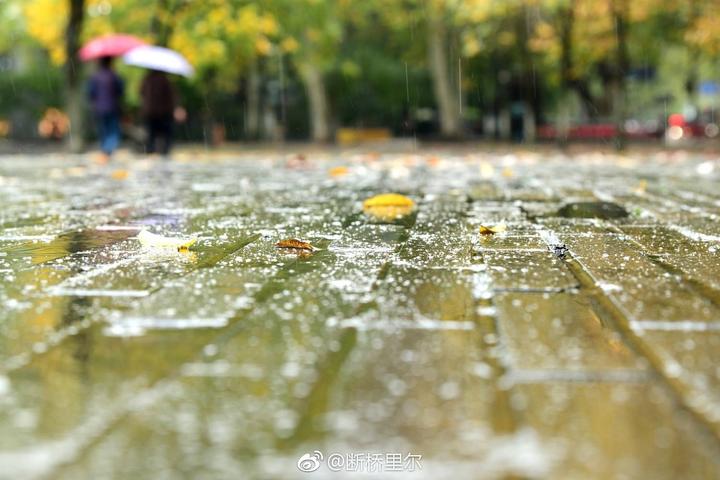 陰冷模式開啟!今夜起雨水返場,冷空氣也在來的路上