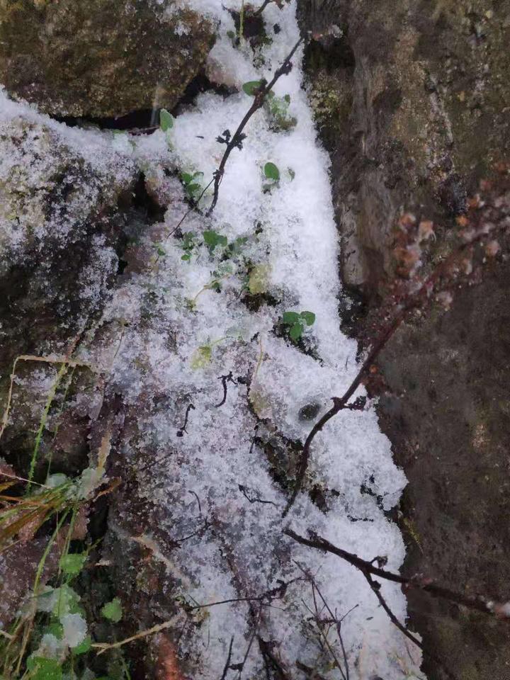 初雪真的来了临安天目山清凉峰下雪了