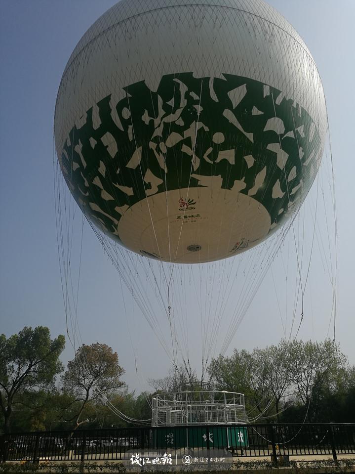 西溪湿地花朝节真正美到飞起,有个超大气球能带你上天