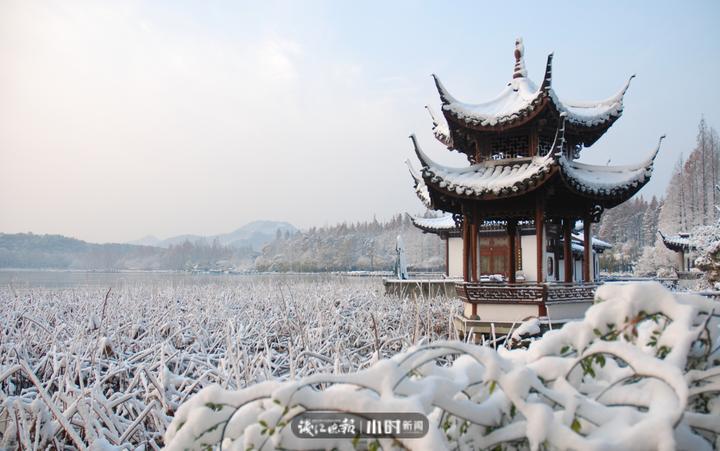 今日影像今天的好摄是杭州冬天雪景的回忆杀小编说发图是为了求雪