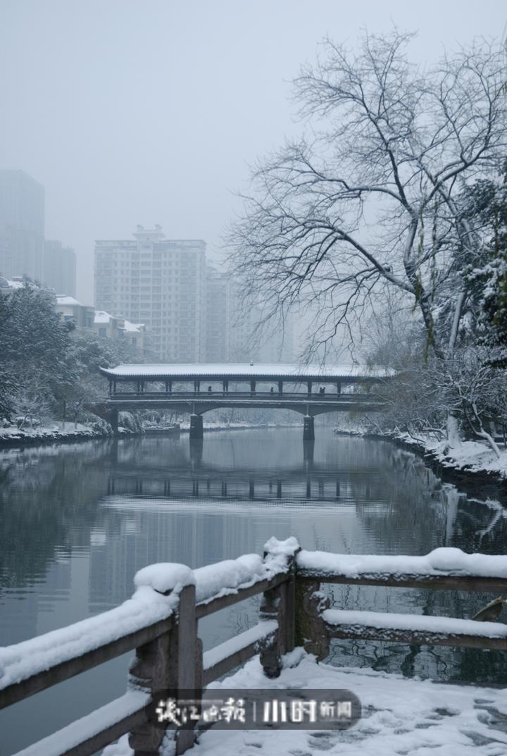 杭州下雪照片真实图片