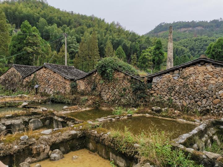 菩提闲云丨纸山泽雅