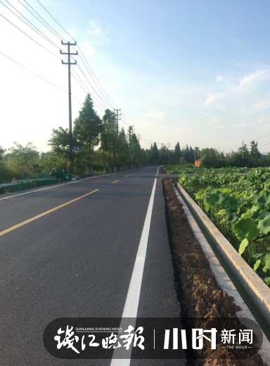 農村水泥路變身柏油路,浙江這個地方今年還要建成這些美麗村道