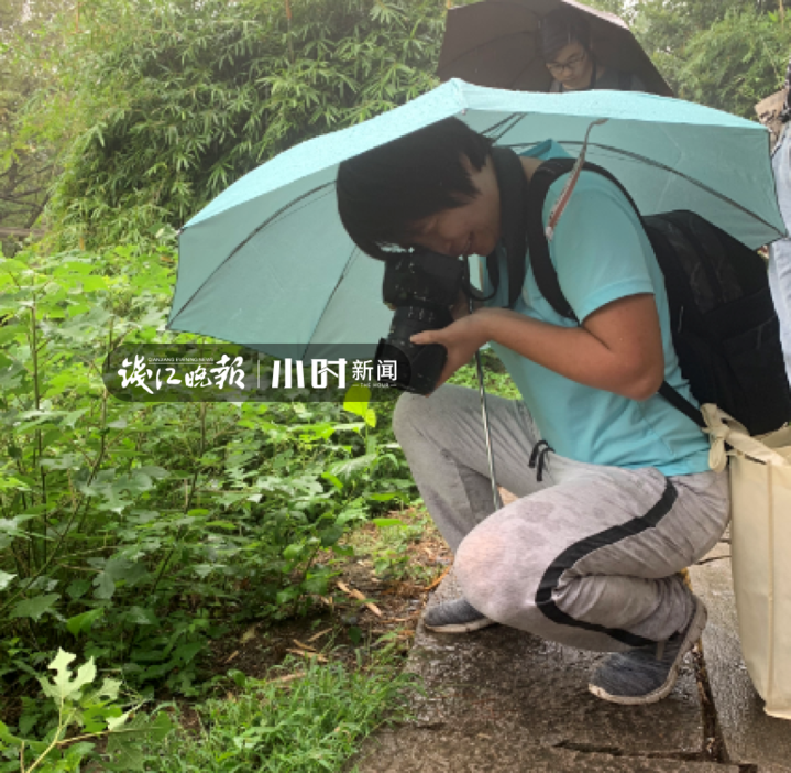 一头闯入生机勃勃的野生世界西溪湿地植物多样性调查都发现了啥