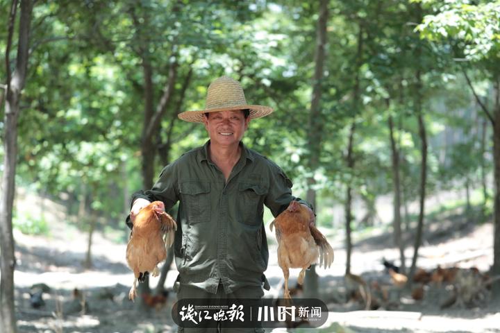 7 桃舍的客人点了桃花鸡，胡静锜的父亲胡加福在农场抓鸡。.JPG