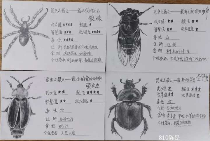 昆虫记读书卡片图片