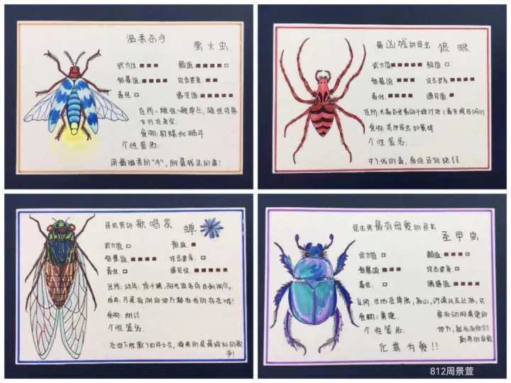 高新实验八年级同学们通过制作昆虫卡diy独特设计的方式创新一种有趣