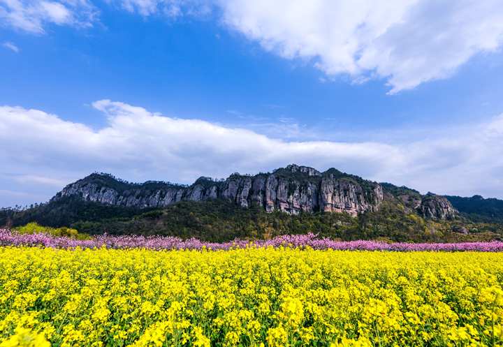 天台后岸图片