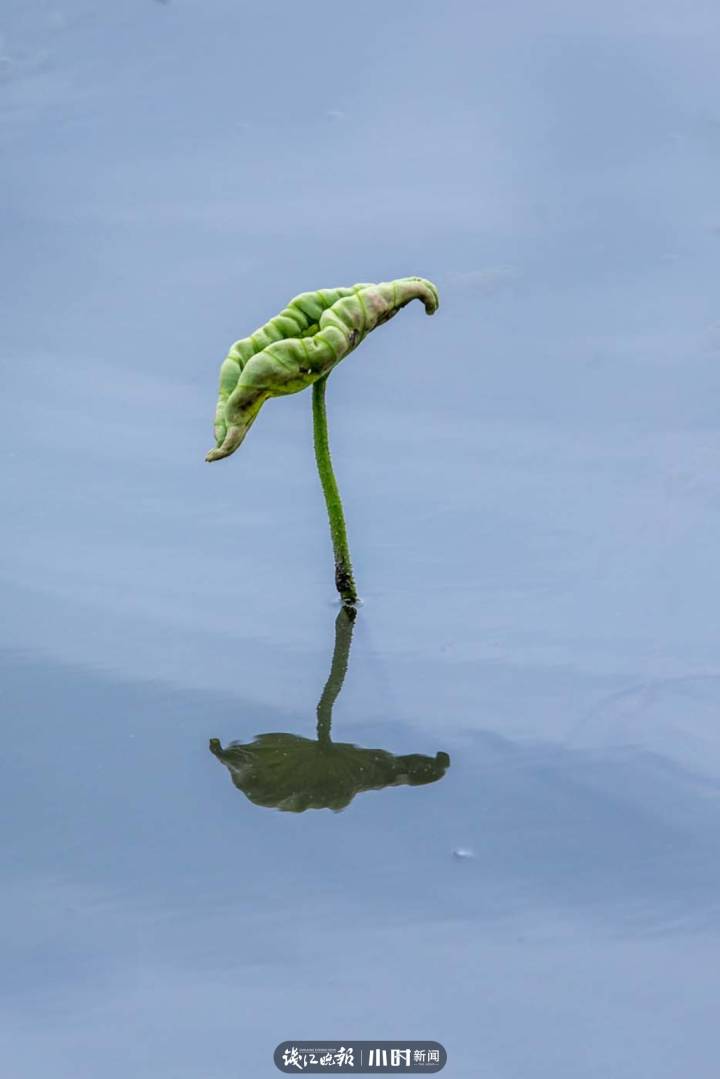 水面最美图片