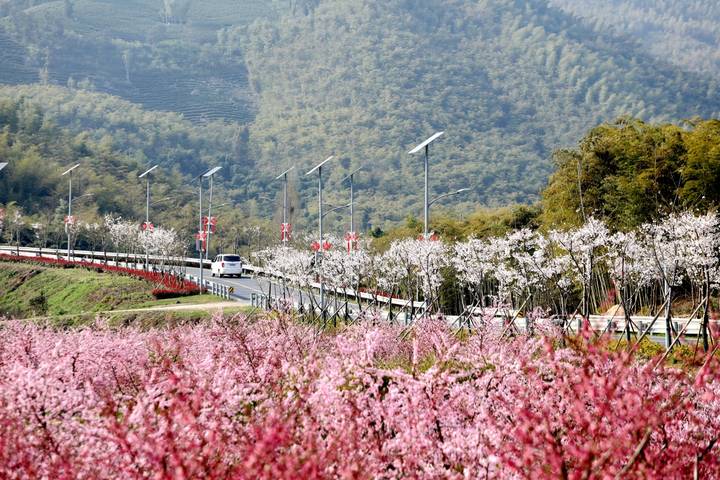 image_120887_妙西镇妙山村农家田园风光.项飞 摄.jpg