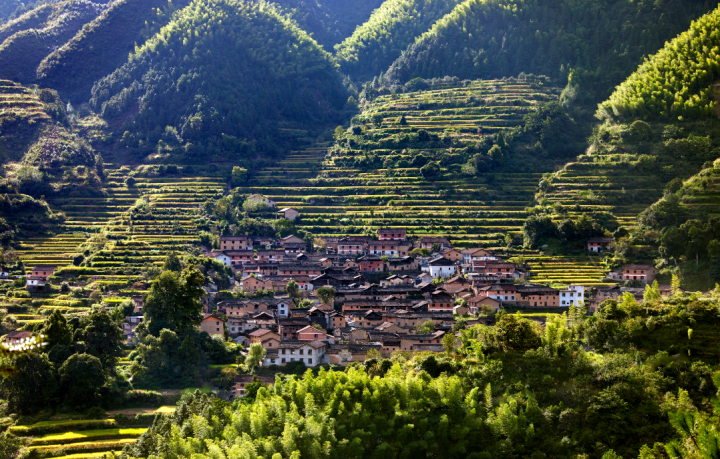 龙泉天平山图片