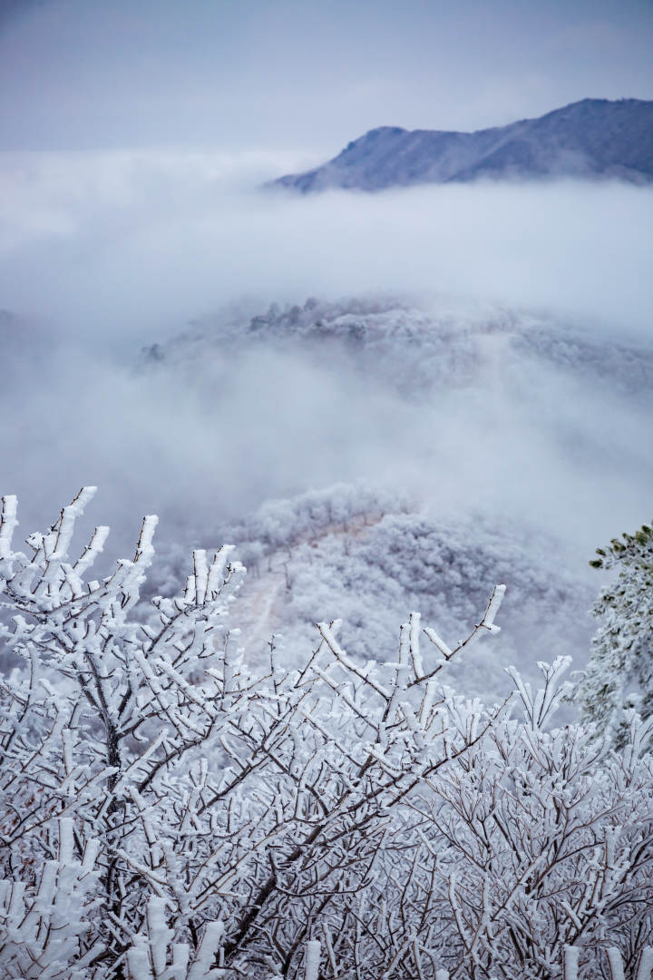 超美2022年杭州的第一场雪跟着钱橙女孩看看雪中美景吧