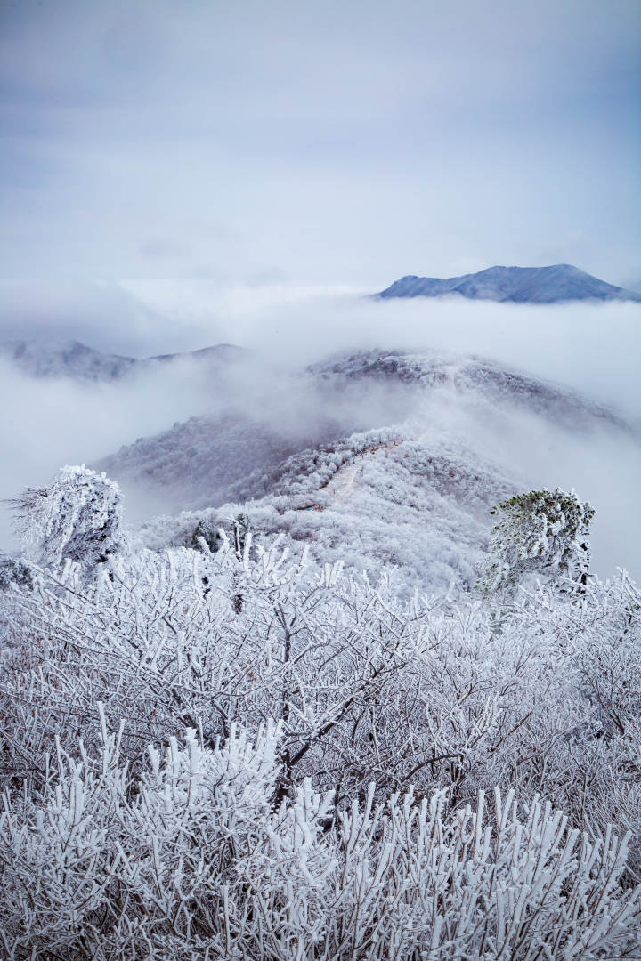 超美2022年杭州的第一场雪跟着钱橙女孩看看雪中美景吧