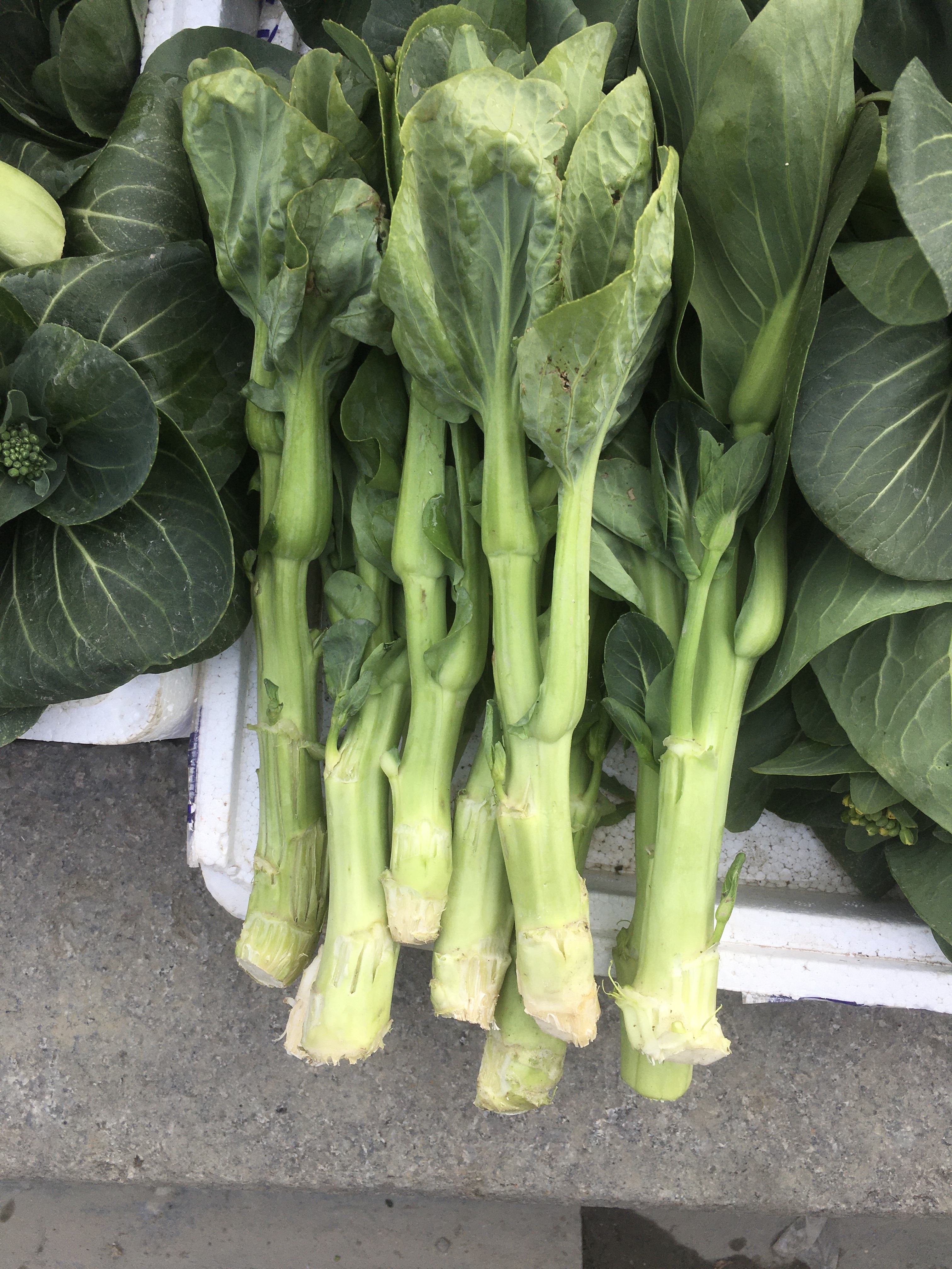 春日美食红烧菜蕻