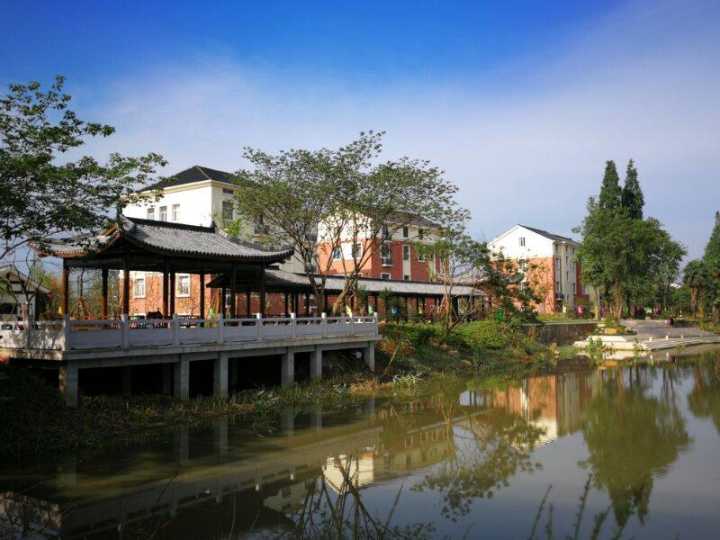 实现全覆盖西湖区三墩镇清洁直运也来了