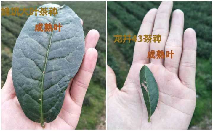 微信图片_20180406153631.jpg