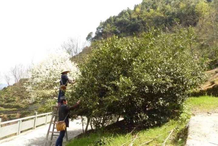 微信图片_20180406152706.jpg