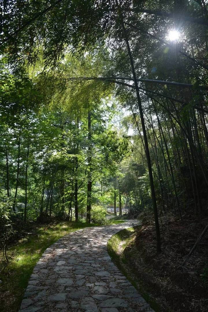 戴村国家登山健身步道图片