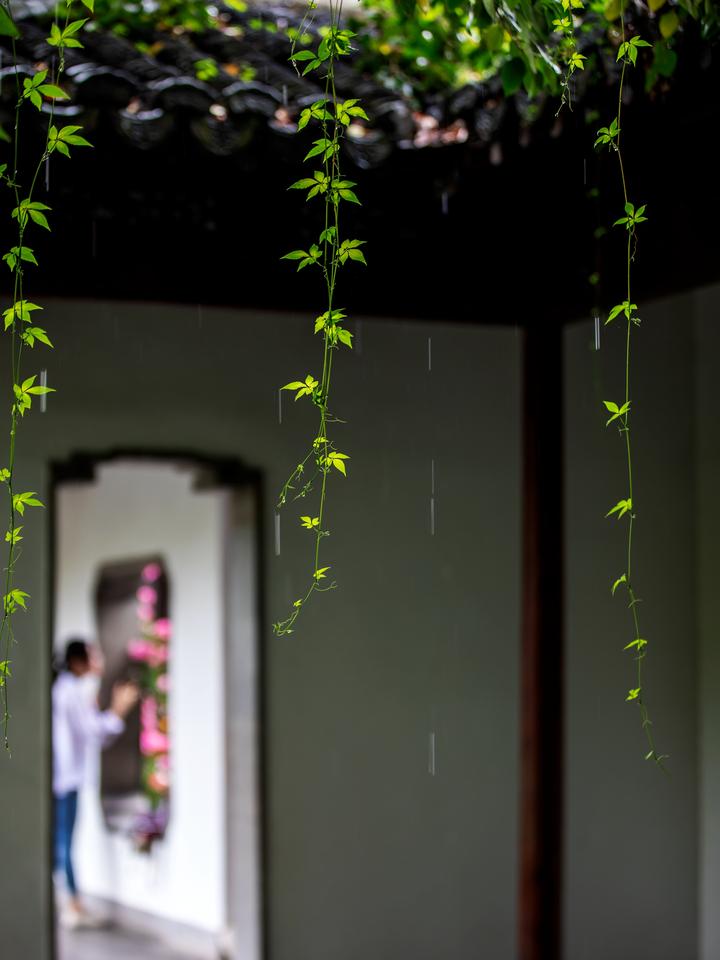 雨丝绵长,要寻一处清静之地拍下雨天